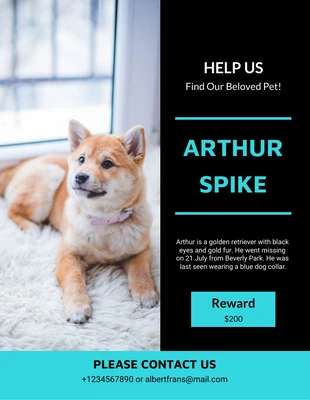 Free  Template: Pôster verde turquesa de cachorro perdido