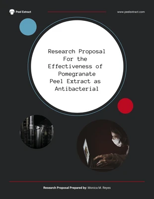 Free  Template: Modèle de proposition de recherche
