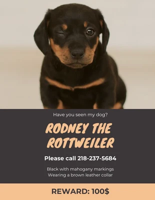 Free  Template: Póster Animal de estimação desaparecido com foto de cachorro marrom