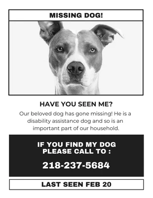 Free  Template: Volantino bianco minimalista per cani scomparsi