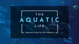 Free  Template: لافتة مدونة Fish Hobby Lifestyle
