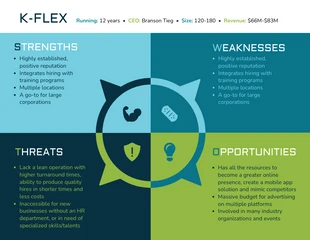 premium  Template: SWOT-Analyse des Unternehmens