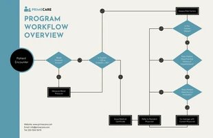 business  Template: Diagramma del flusso di lavoro sanitario