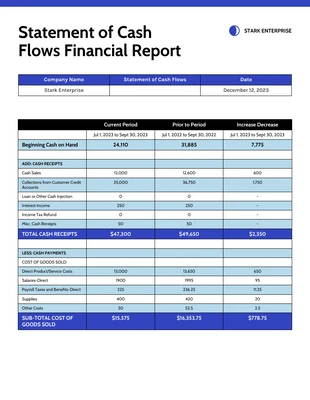 business  Template: Estado de flujos de tesorería Informe financiero