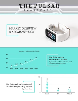 business  Template: Relatório do segmento de mercado de tecnologia