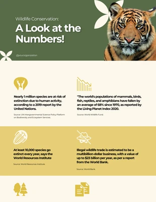 Free  Template: Infográfico simples de vida selvagem verde e amarelo