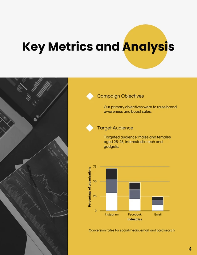 White and Yellow Data Report - Página 4