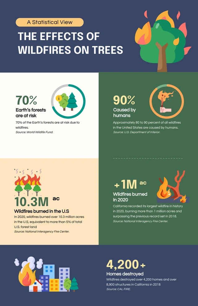 Infografik zu den Auswirkungen von Waldbränden auf Bäume Template Infografik-Vorlage „Die Auswirkungen von Waldbränden auf Bäume“.