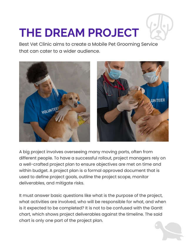 Blue And Orange Modern Playful Pet Grooming Project Plans - page 3