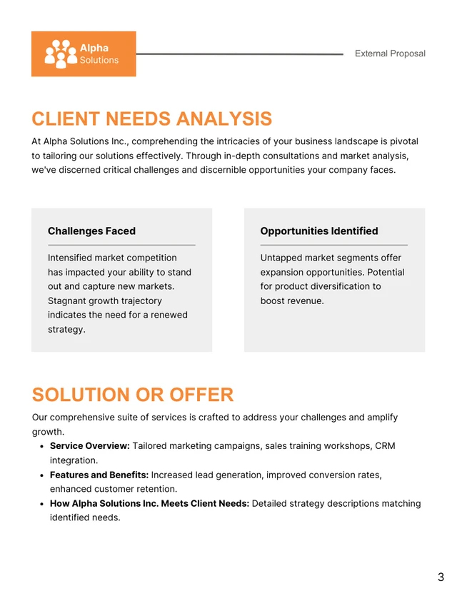 Sales Proposal - page 3